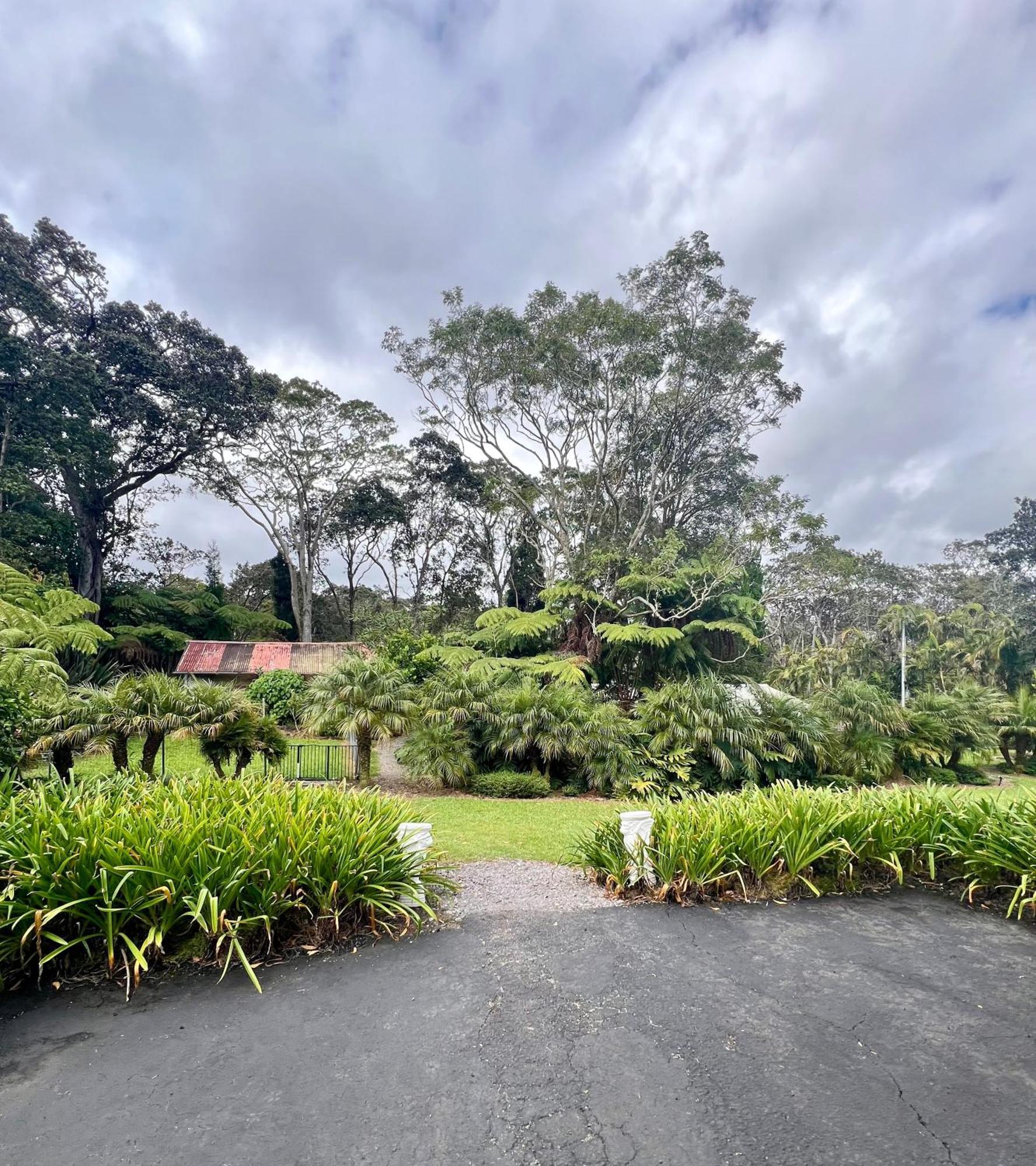 Aloha Junction Bed And Breakfast -Minutes Away From Hawaii Volcanoes National Park Exterior photo